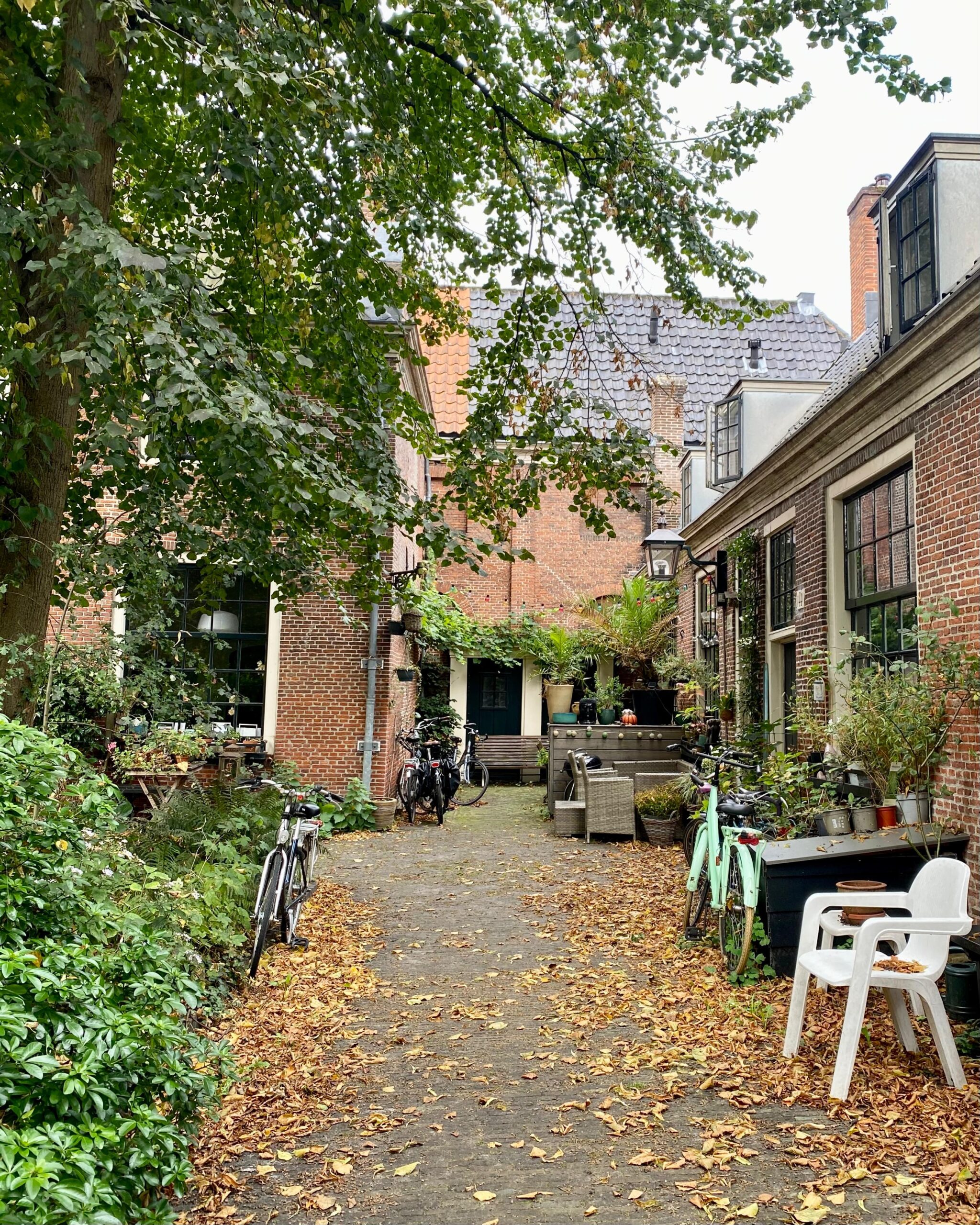 Haarlem's hofje 