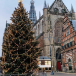 Afbeelding zonder ALT